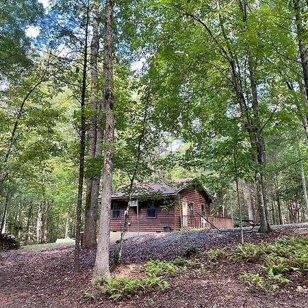 Private Cozy Cabin In The Woods With Great View Murphy Ngoại thất bức ảnh