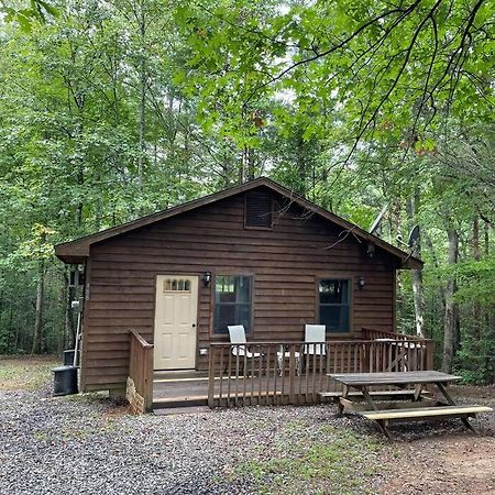 Private Cozy Cabin In The Woods With Great View Murphy Ngoại thất bức ảnh