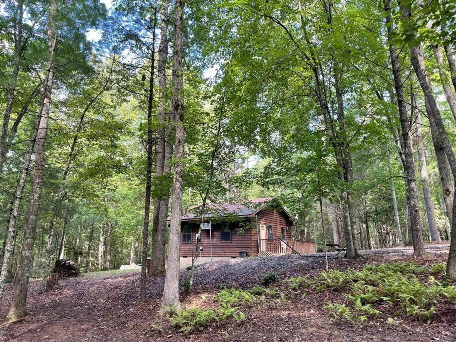 Private Cozy Cabin In The Woods With Great View Murphy Ngoại thất bức ảnh