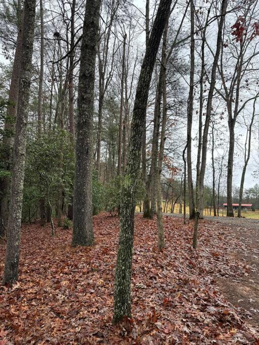 Private Cozy Cabin In The Woods With Great View Murphy Ngoại thất bức ảnh